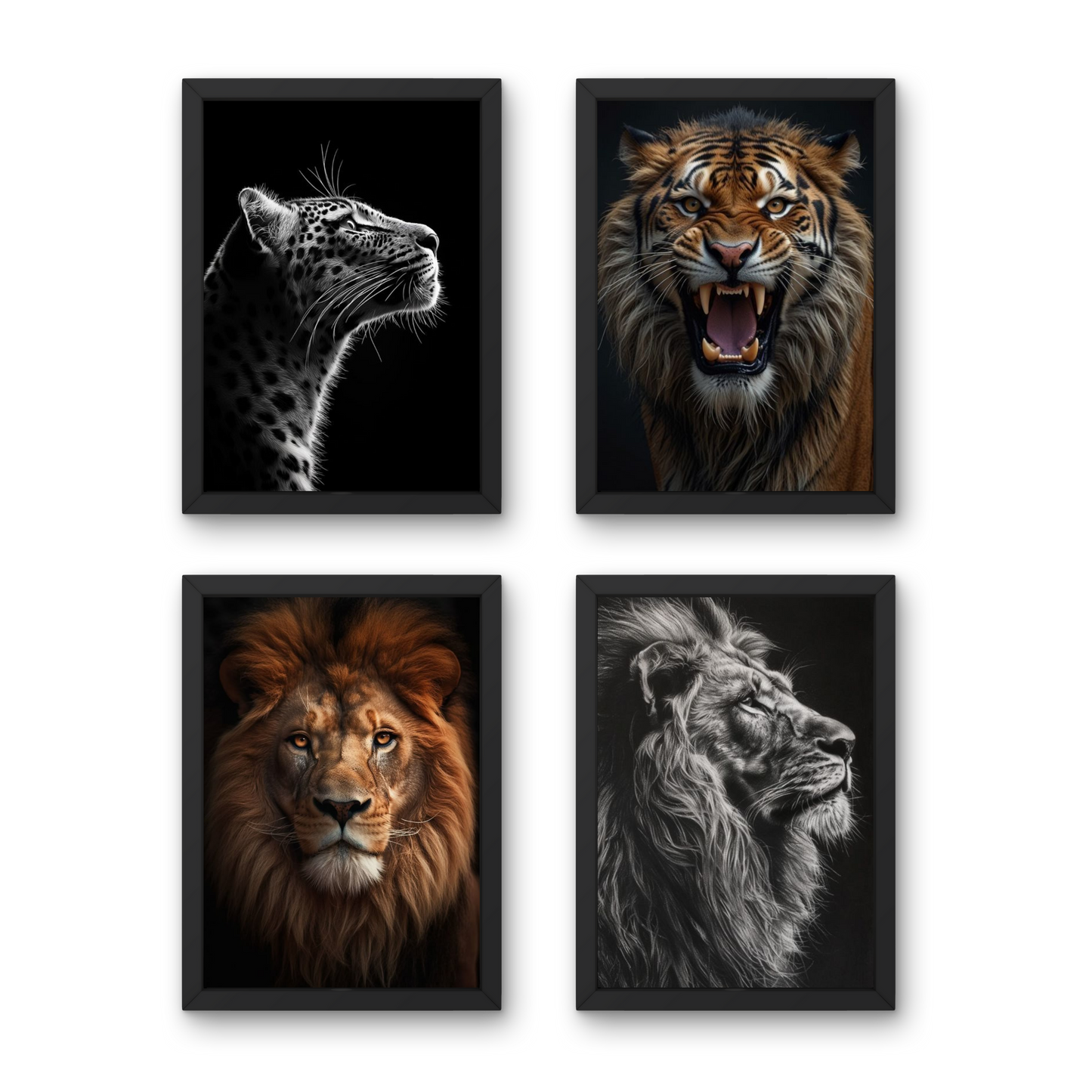 Set 2