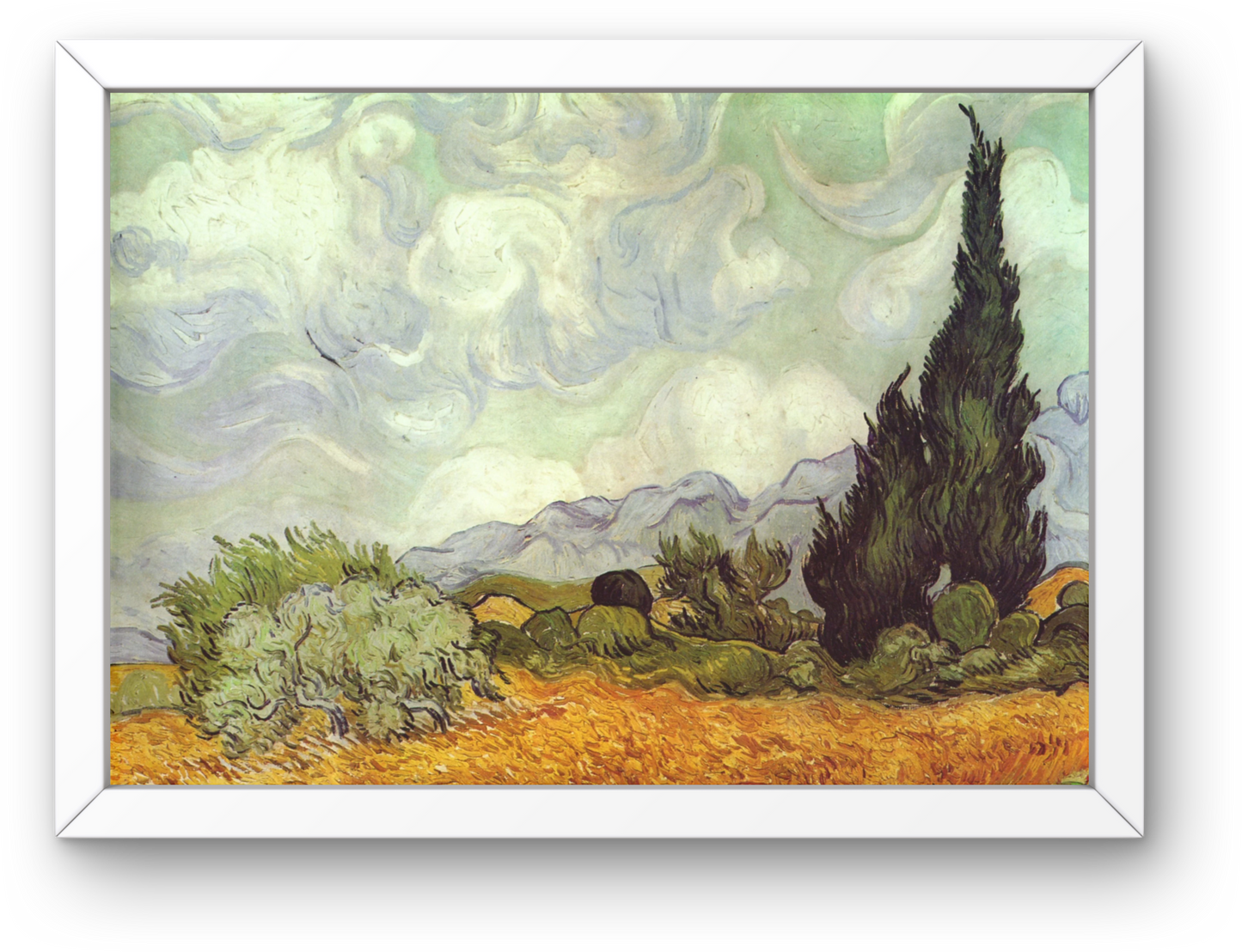Vincent Van Gogh