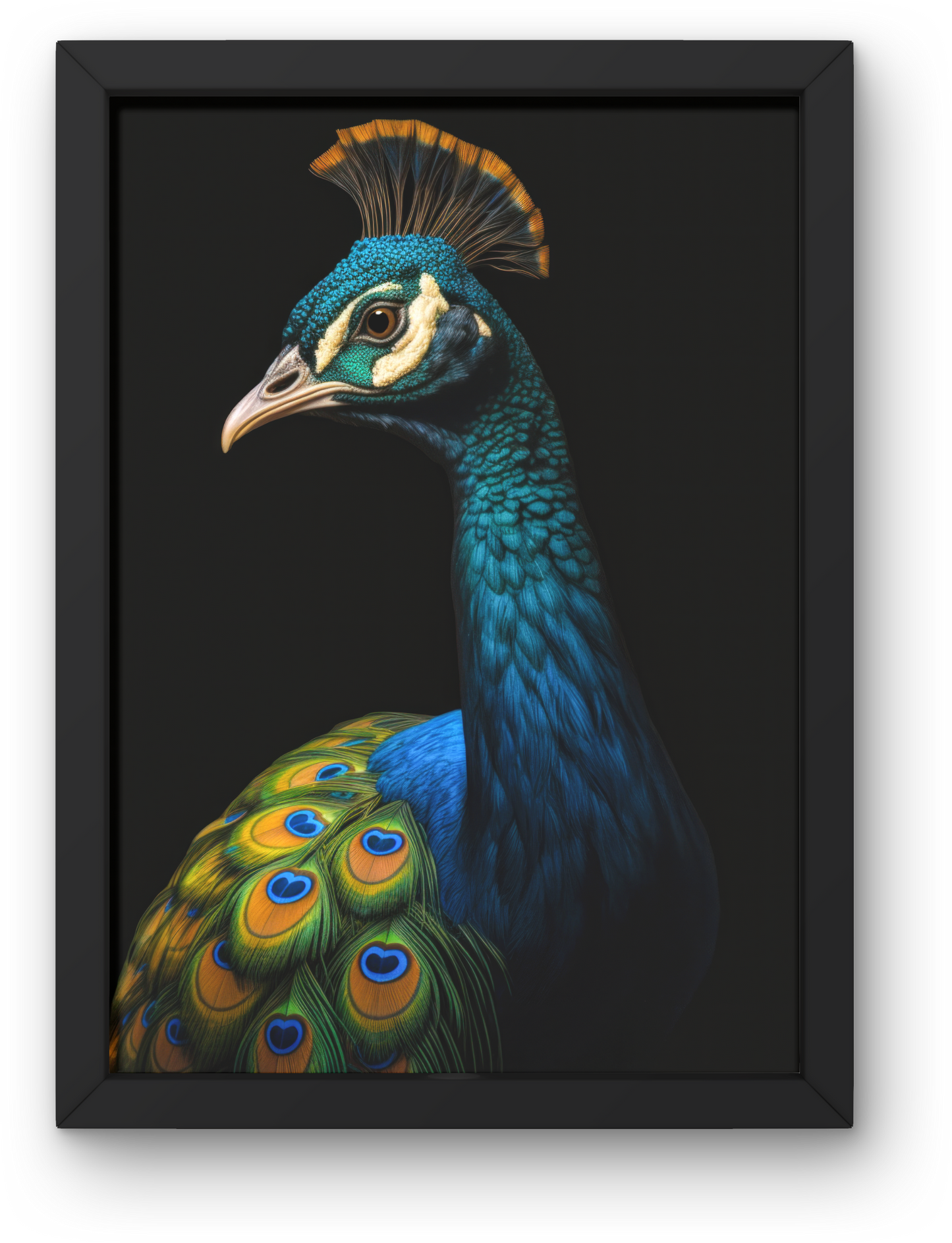 Peacock
