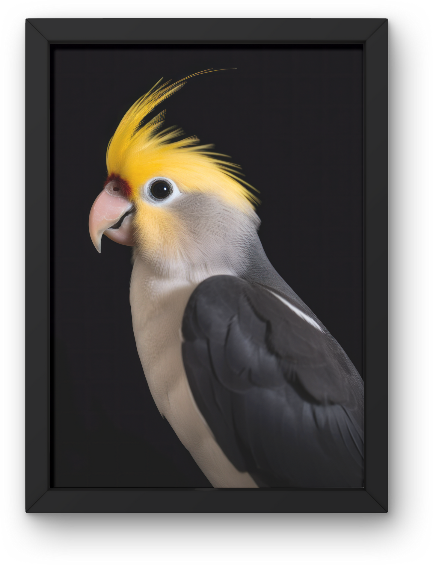 Parrot