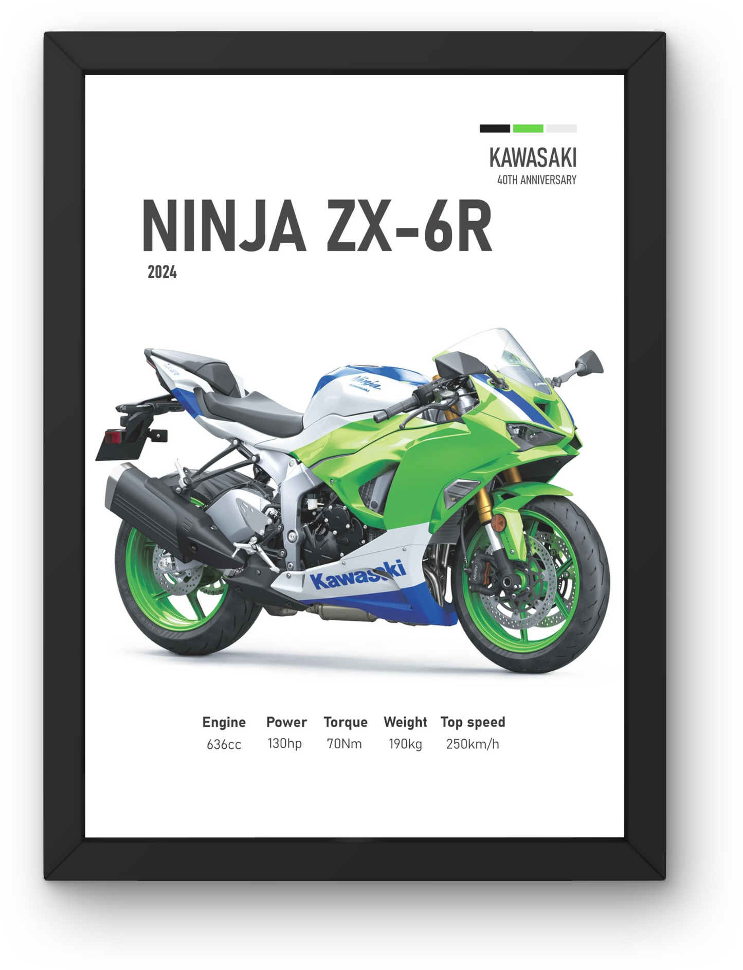 Ninja ZX-6R
