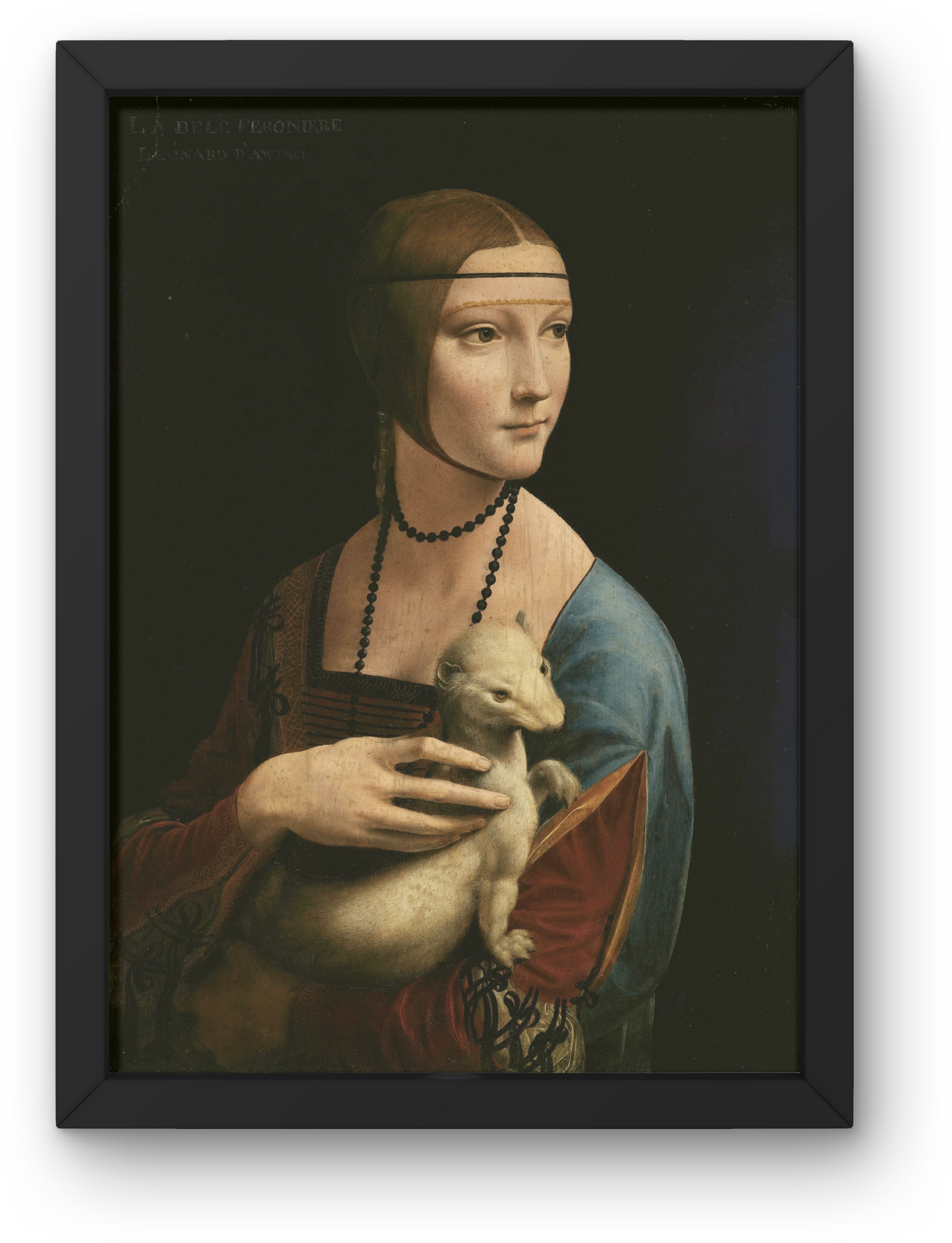 Leonardo Da Vinci