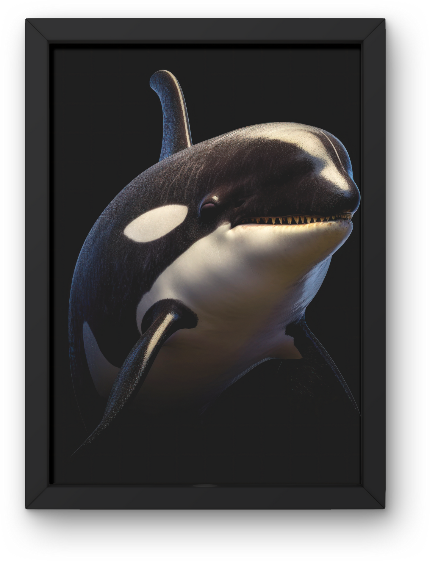 Orca