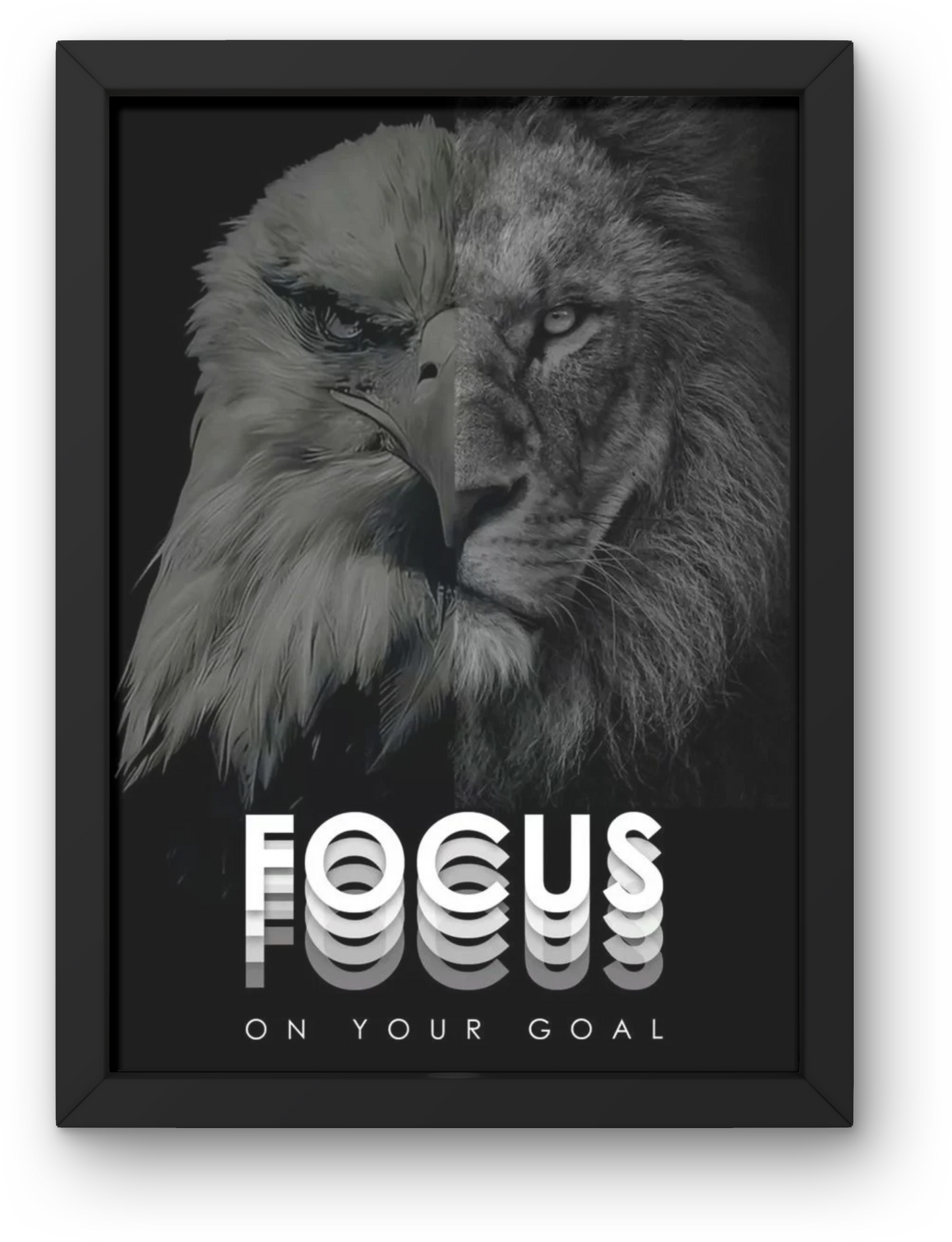 Focus