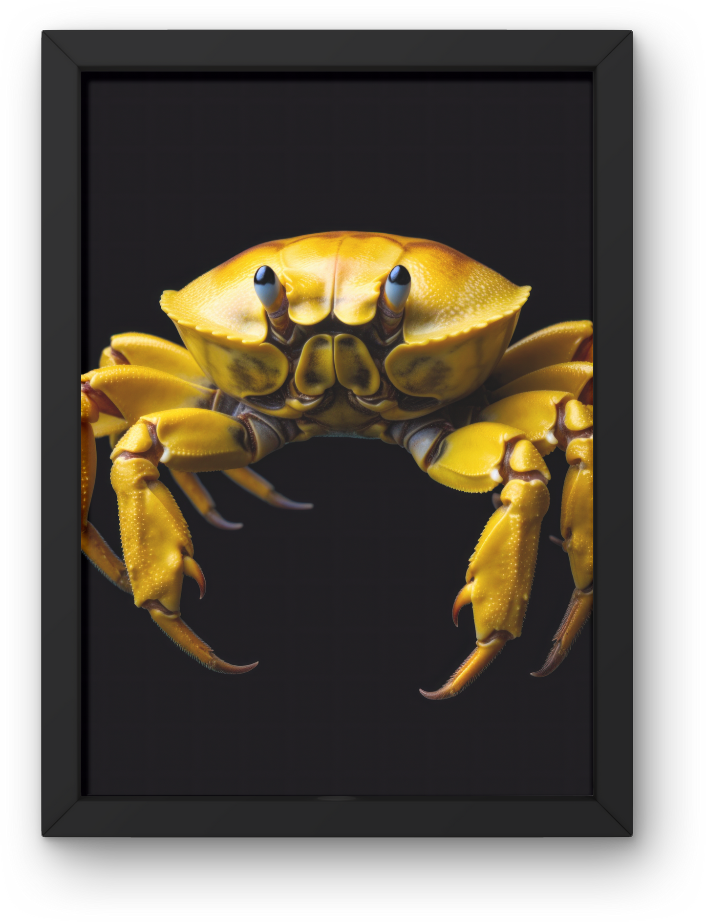 Crab