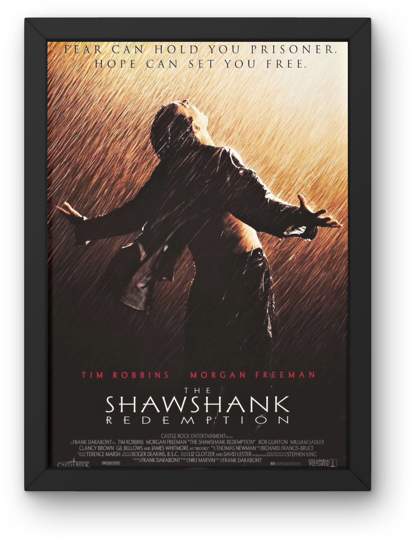The Shawshank Redemption