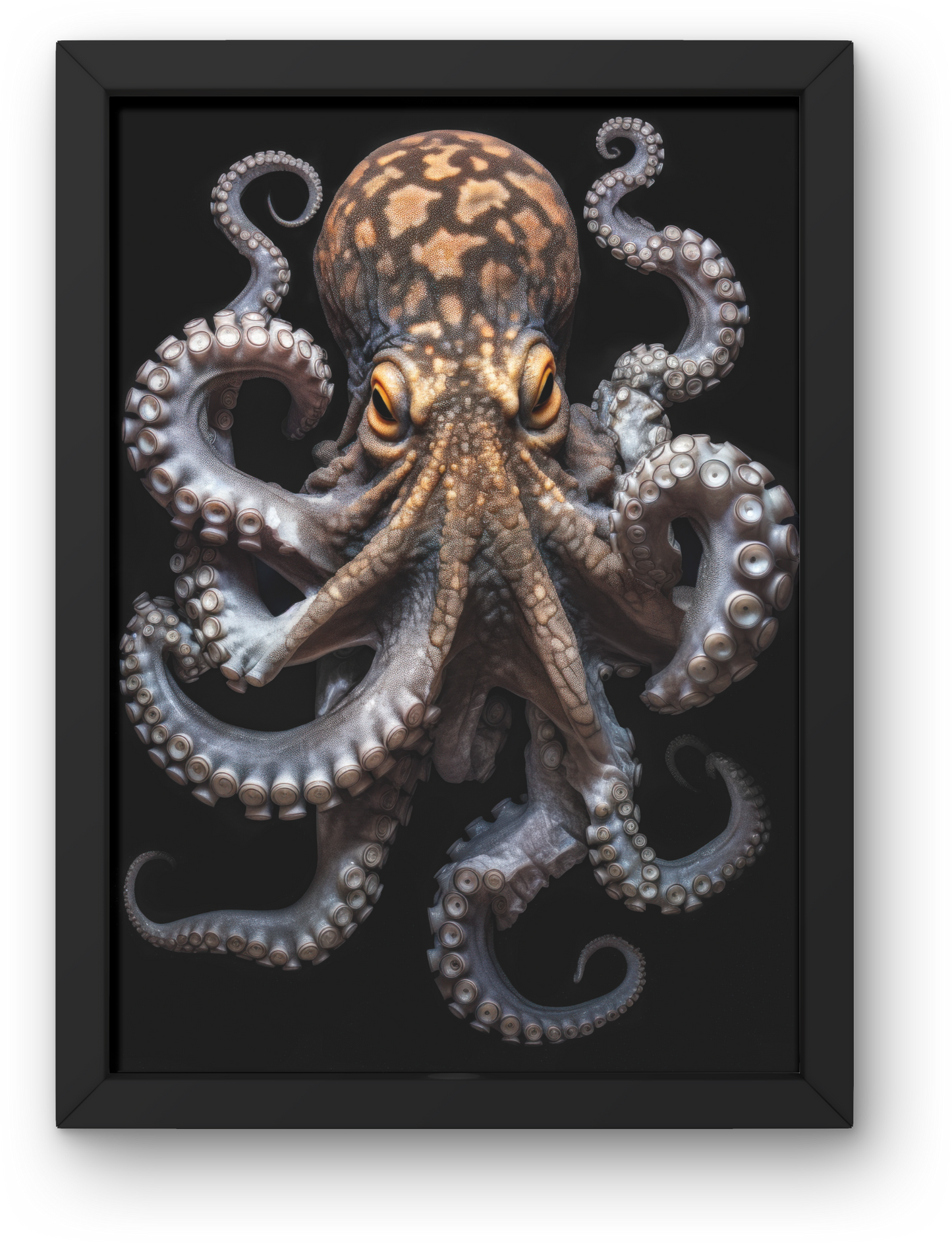 Octopus