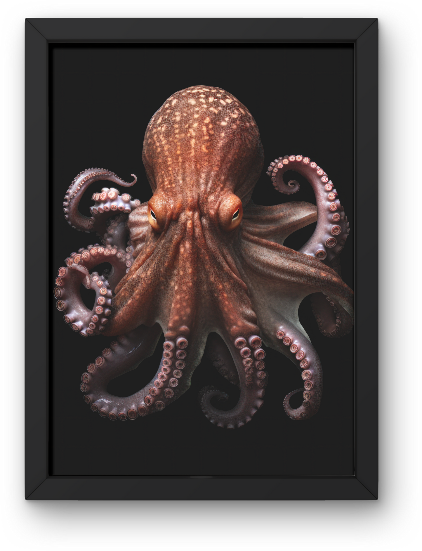 Octopus