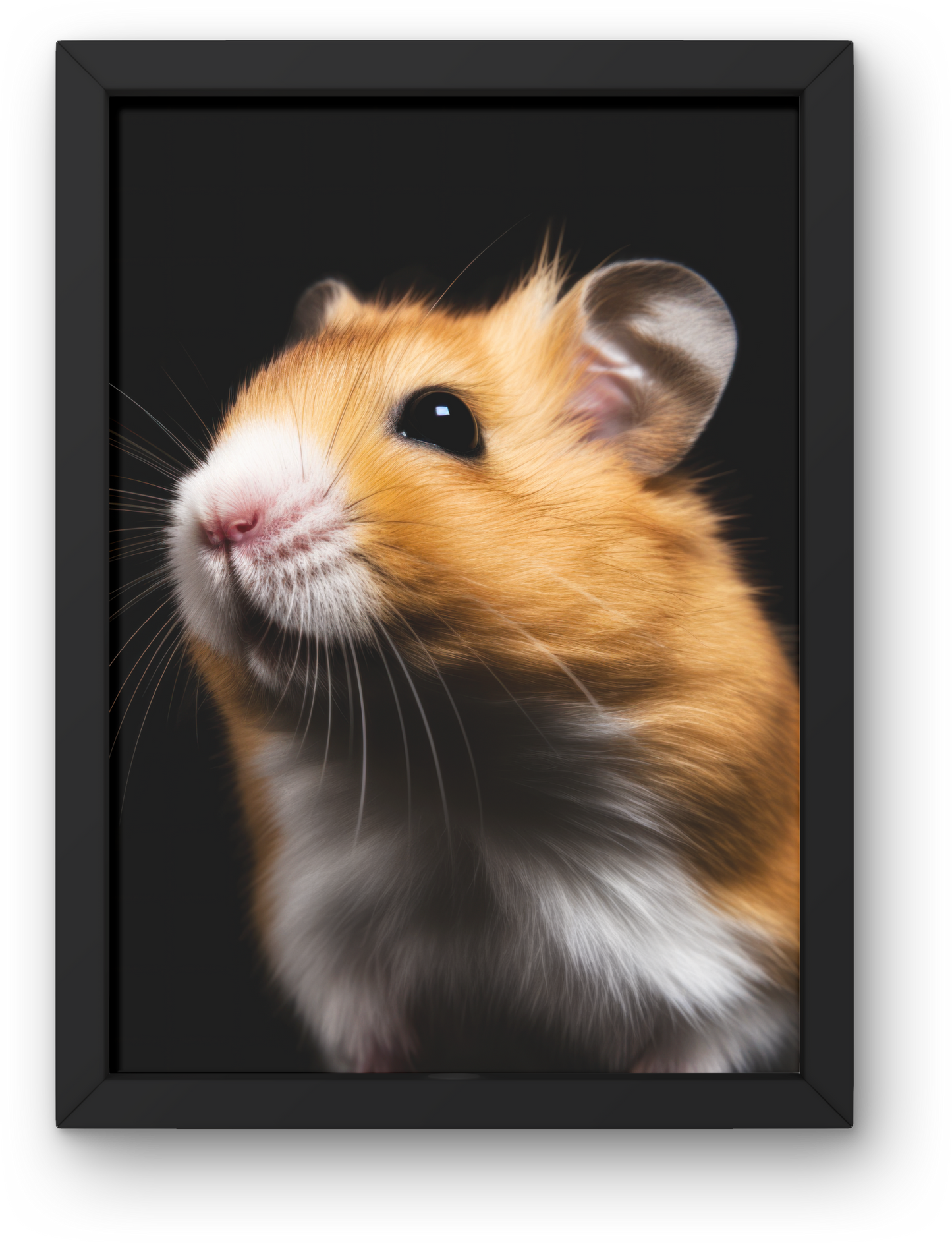 Hamster