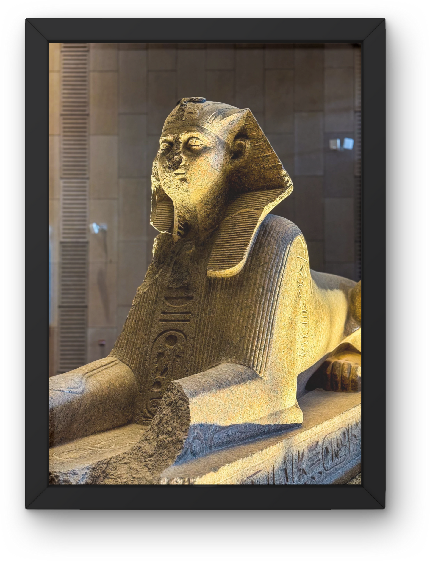 The grand Egyptian Museum