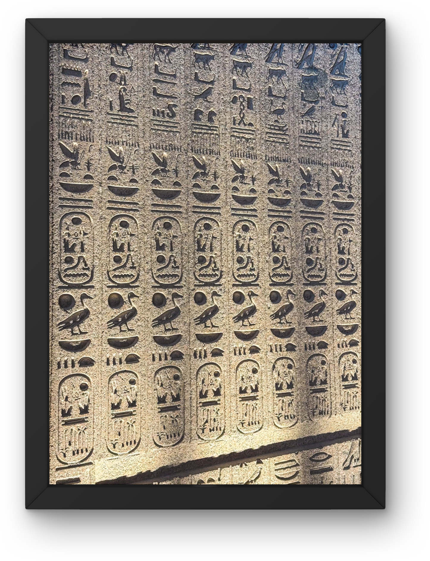 The grand Egyptian Museum