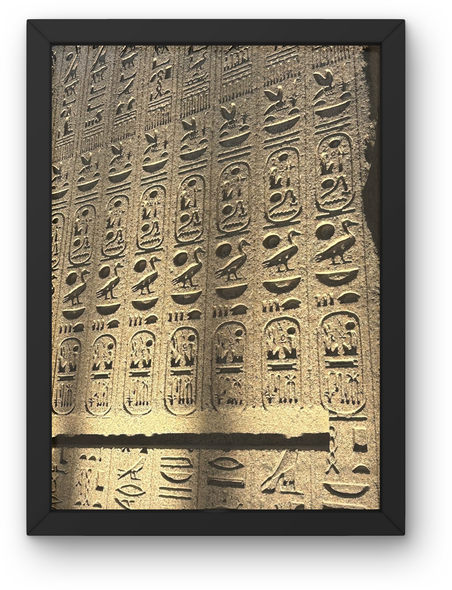 The grand Egyptian Museum