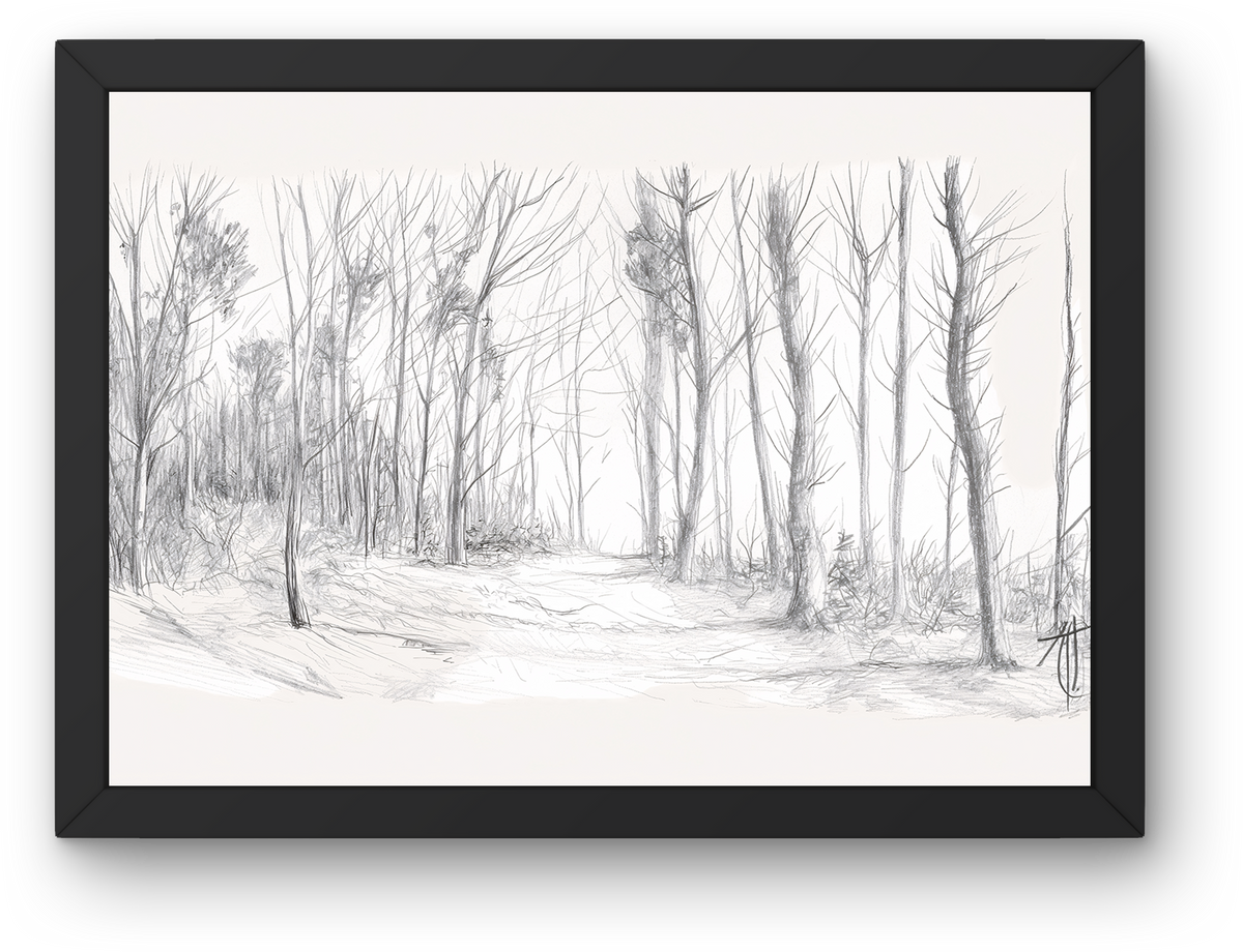 Pencil Birch Forest