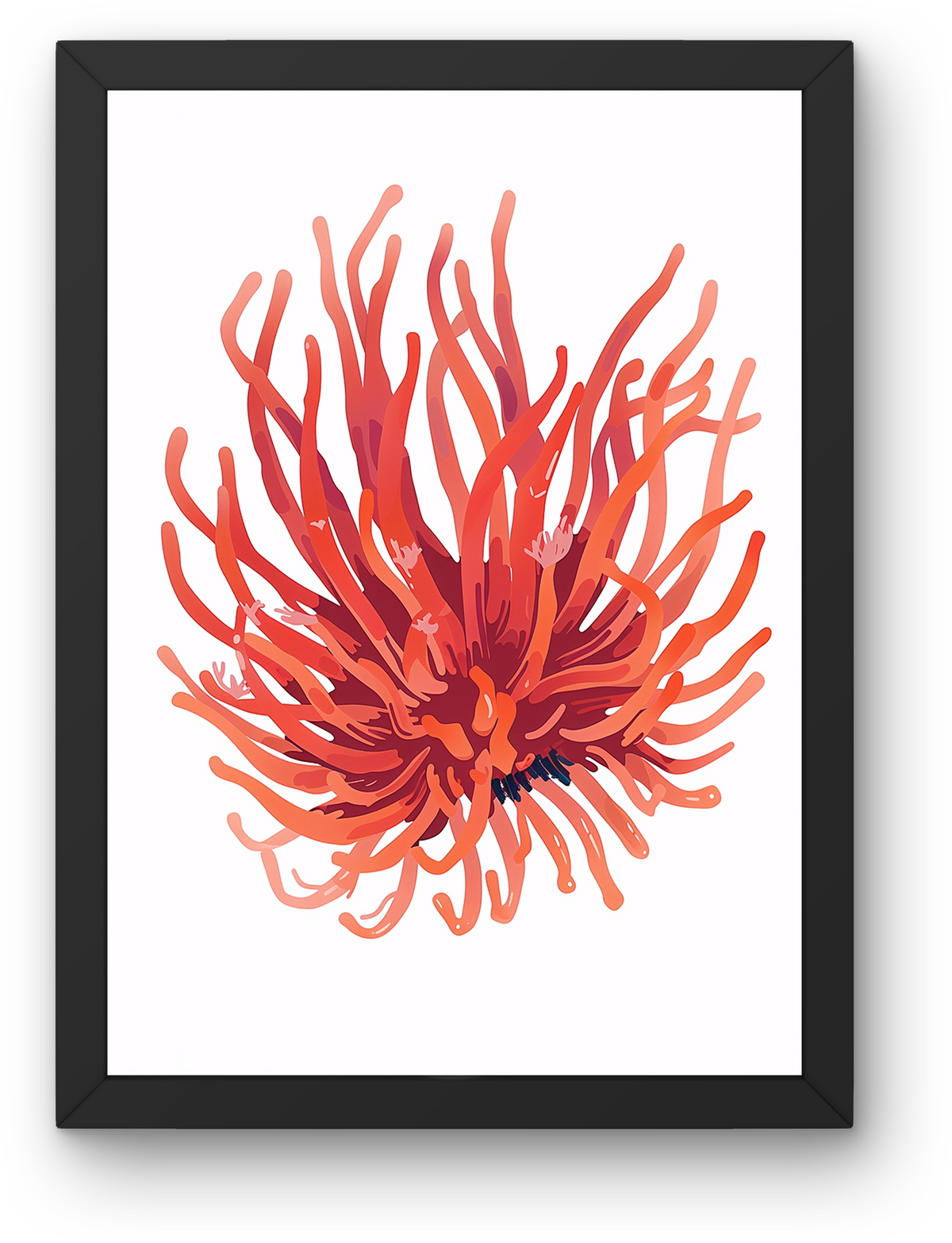 Red Sea Anemone