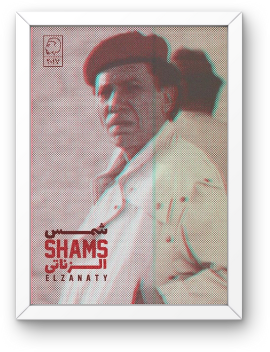 Shams Elzanaty