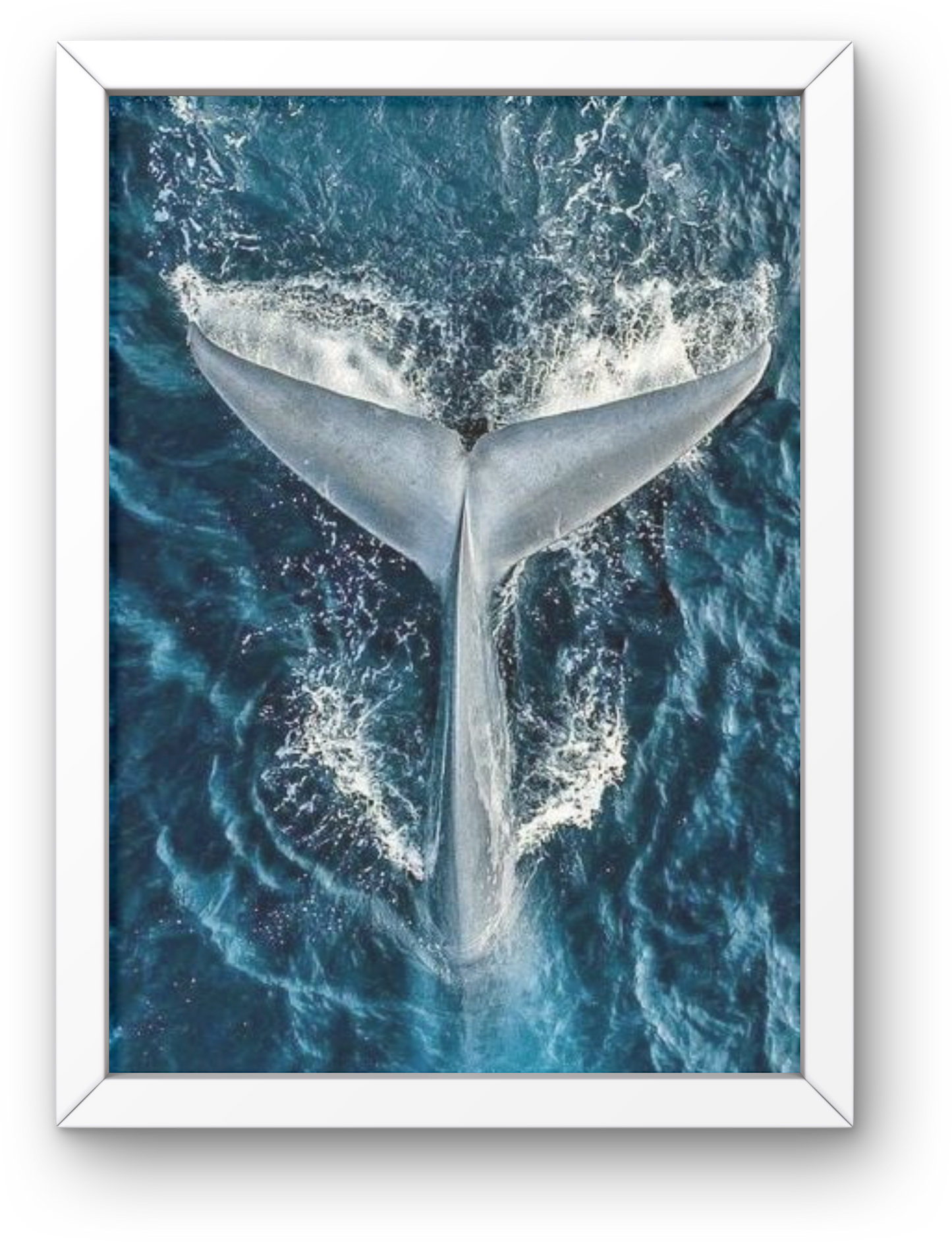 Whale