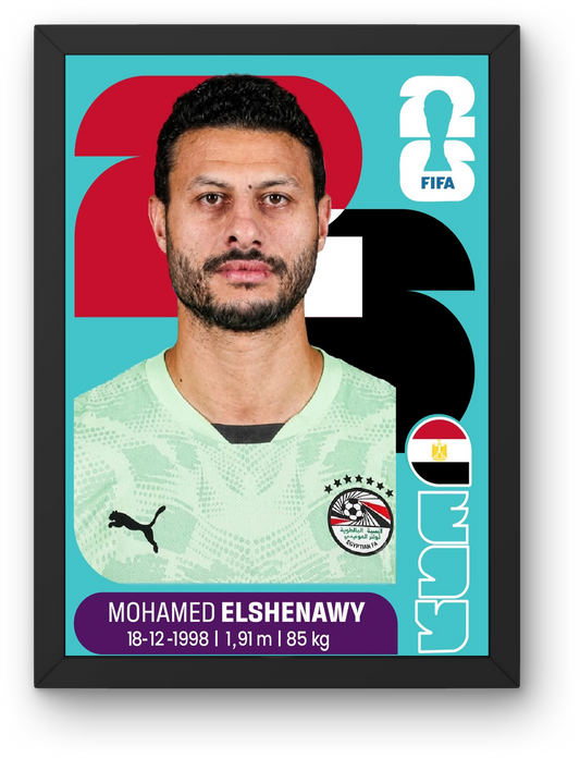 Mohamed Elshenawy