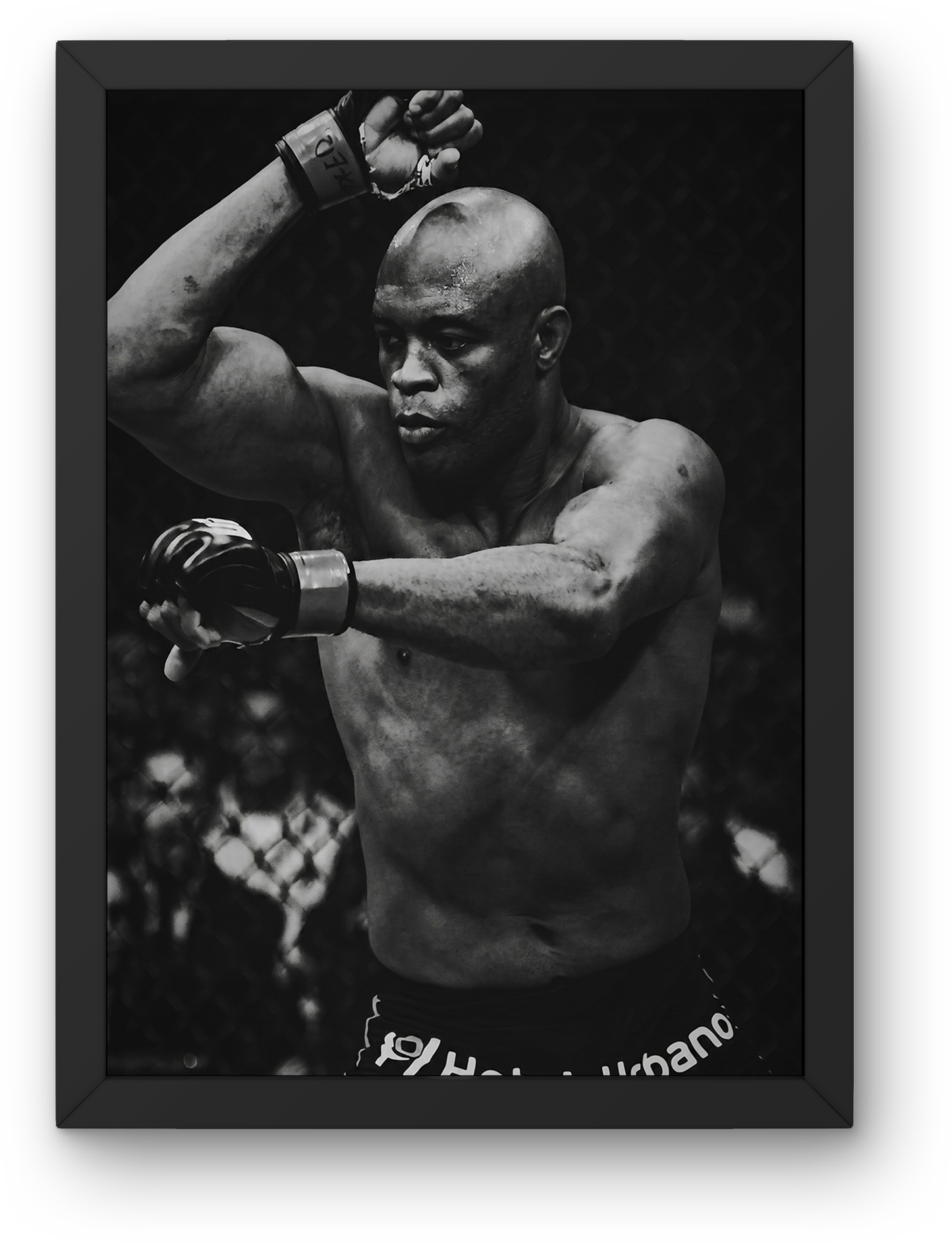 Anderson Silva