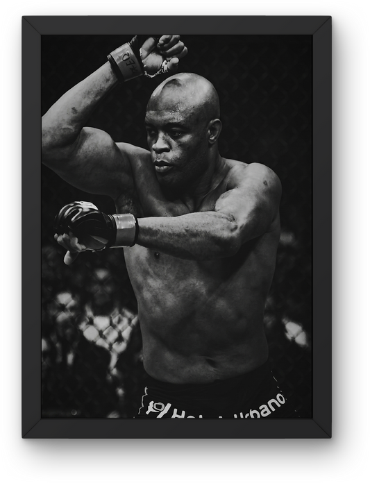 Anderson Silva