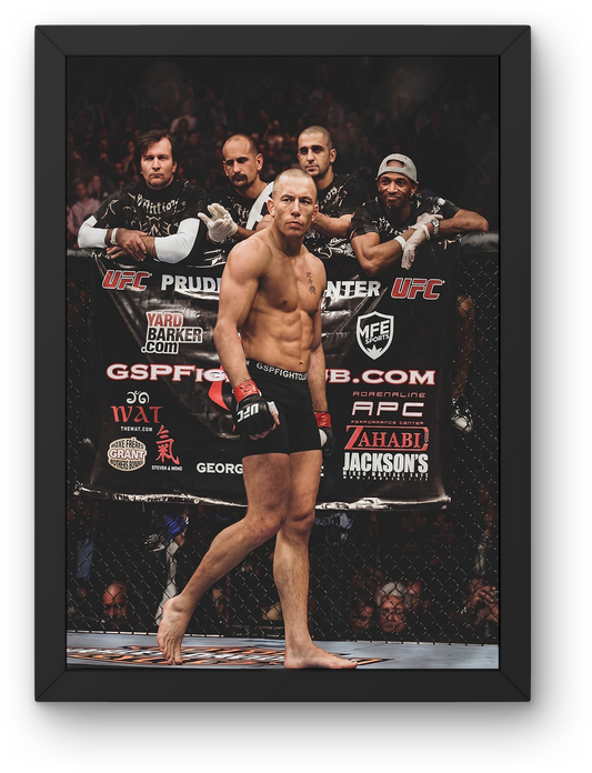 Georges St-Pierre