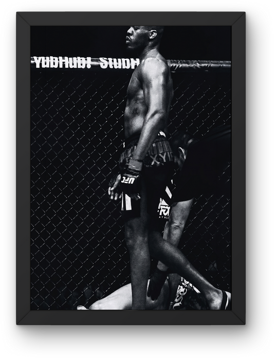 UFC KO