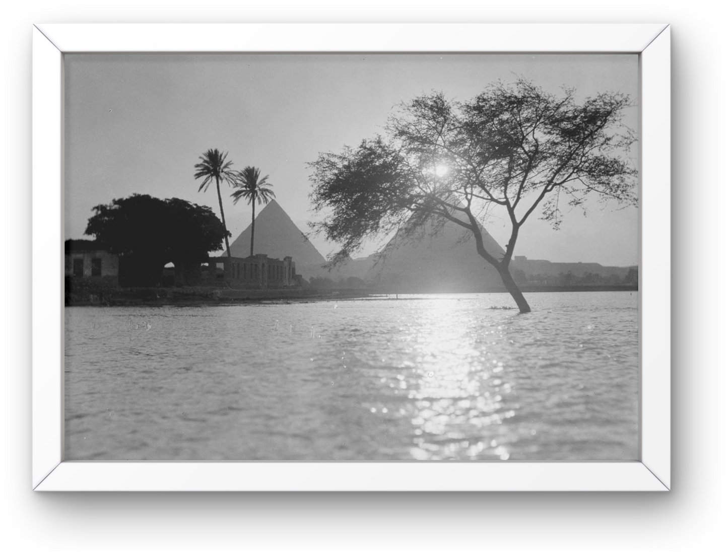 Giza Plateu