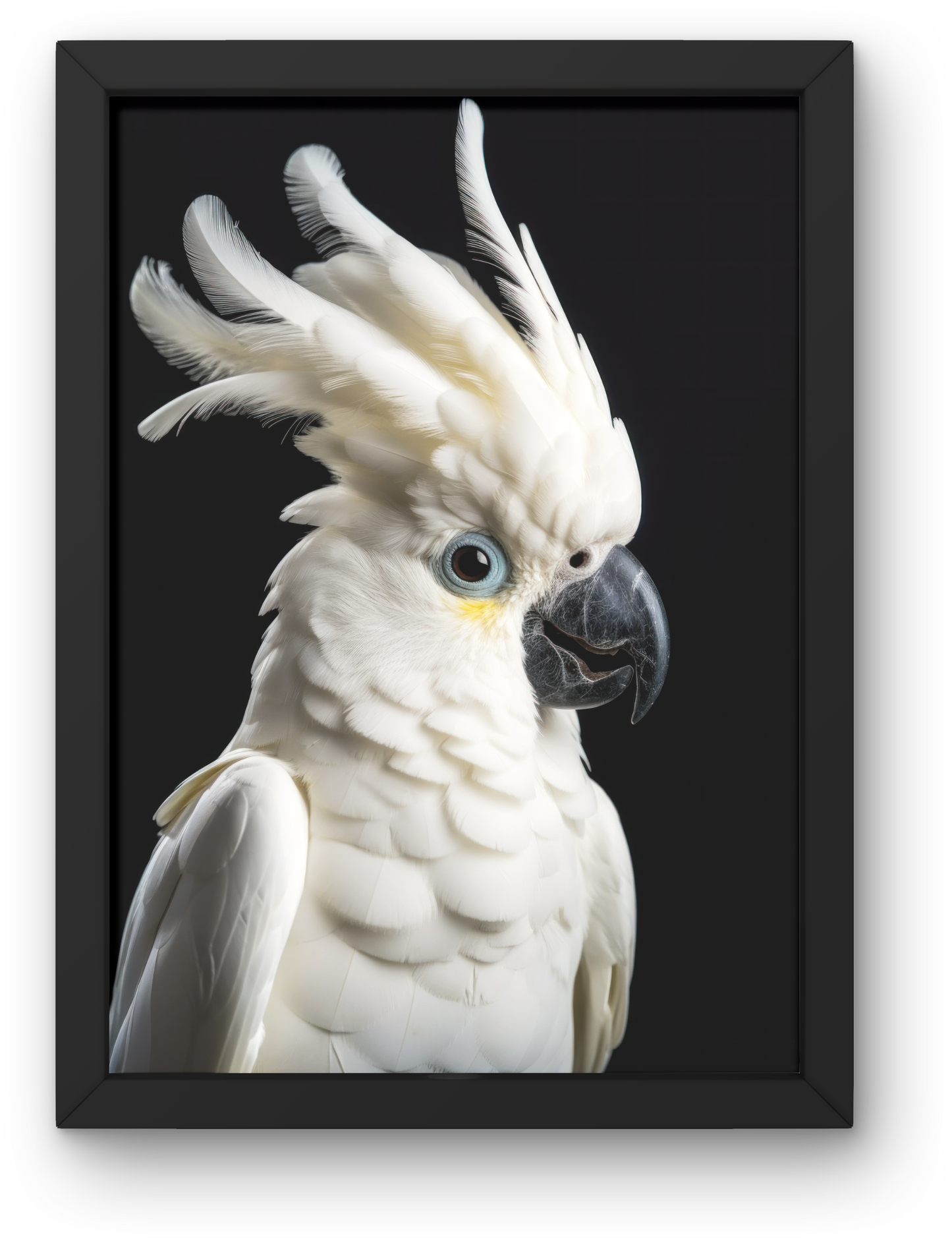Parrot