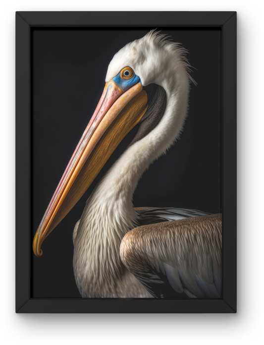 Pelican Bird
