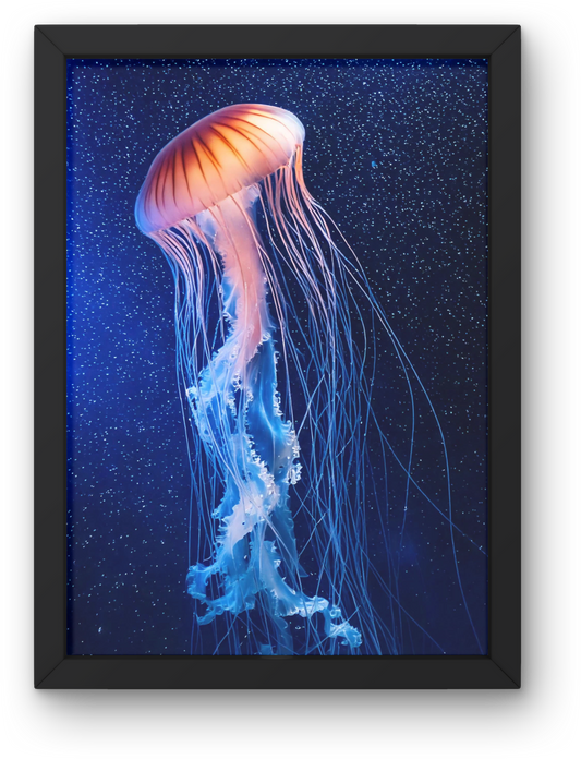 Floating Jellyfish in the Cosmos