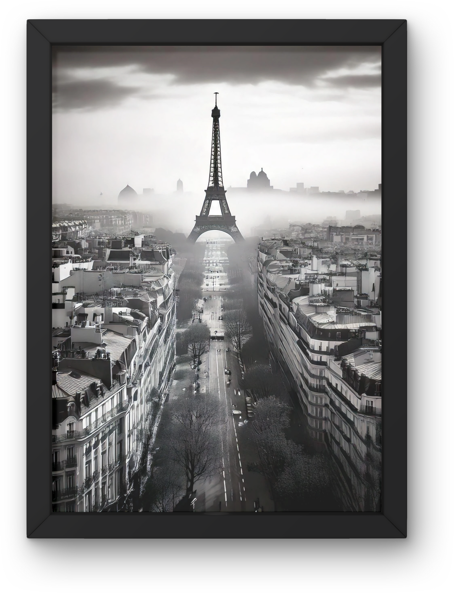 Monochrome Parisian Skyline