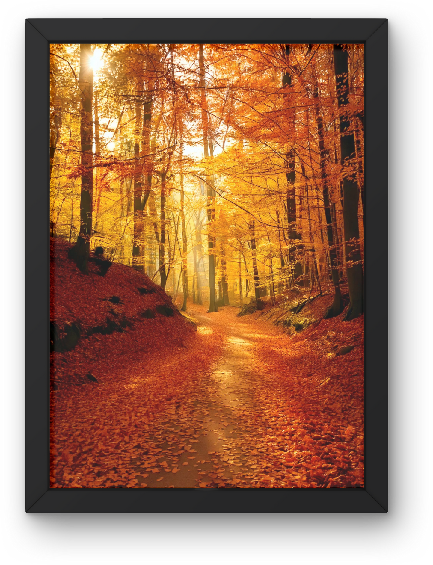 Golden Autumn Pathway