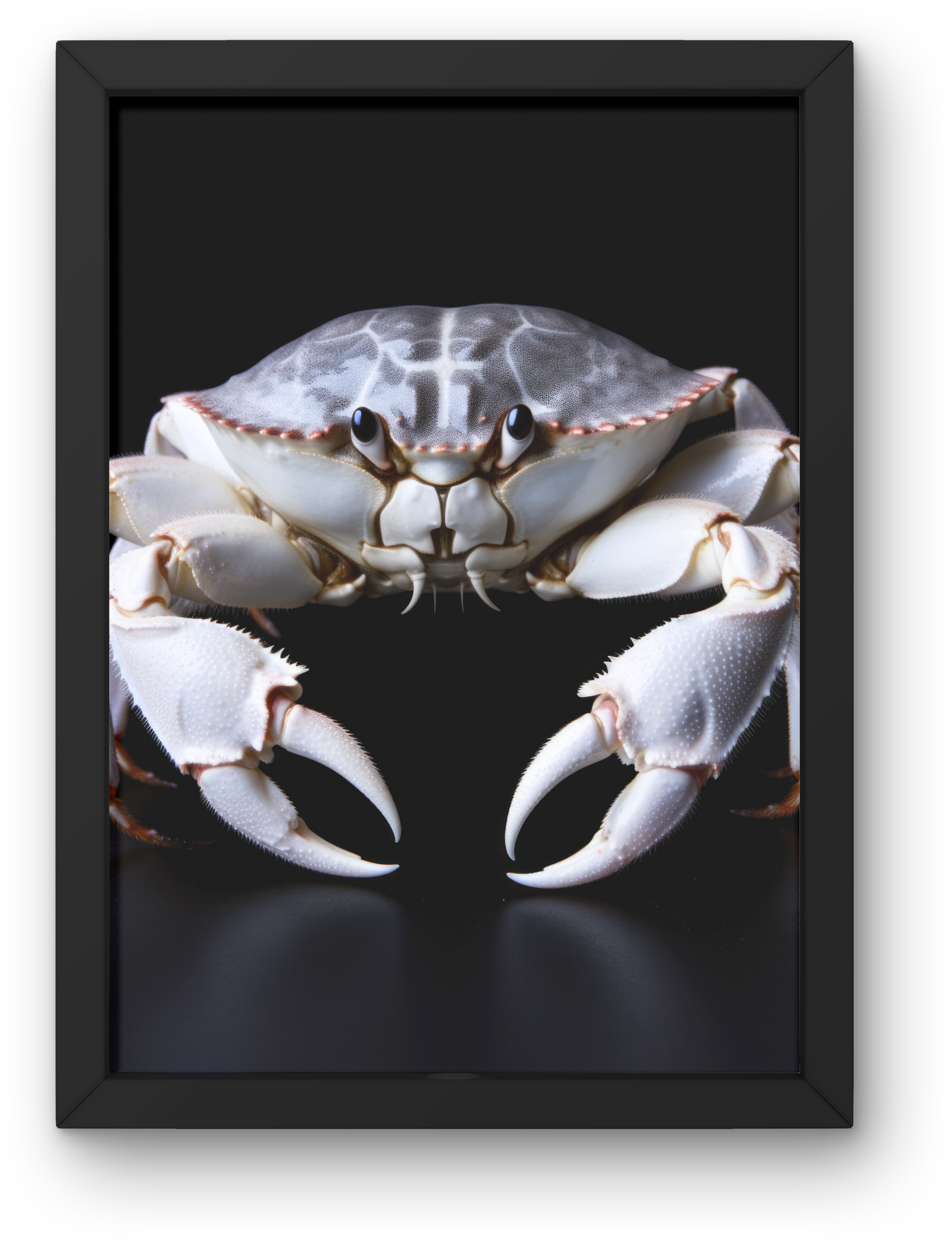 Crab