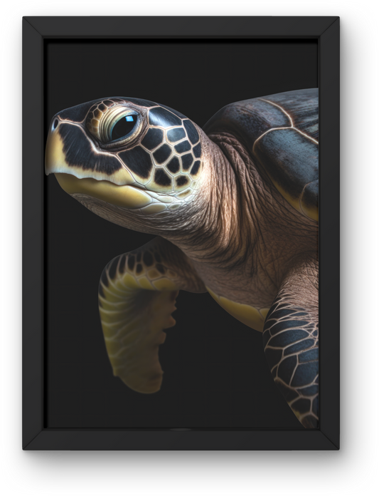 Turtle