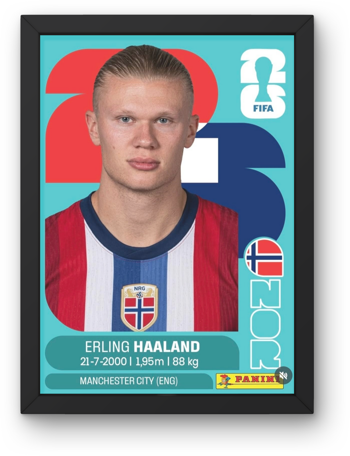 Haaland