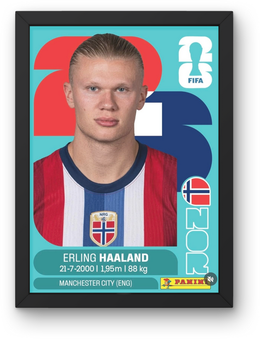 Haaland