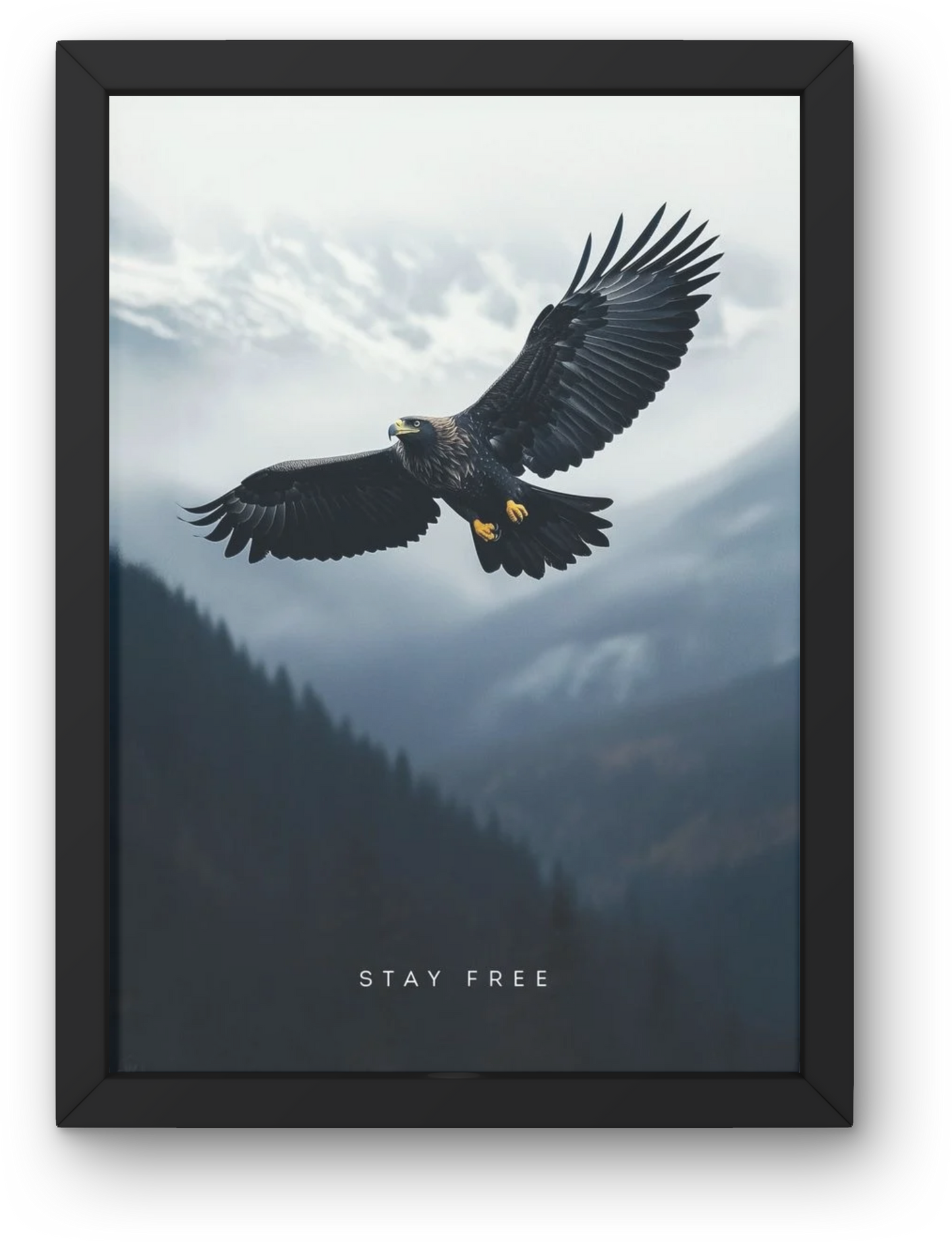 Stay Free