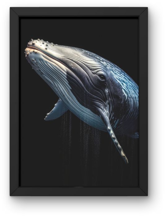 Whale