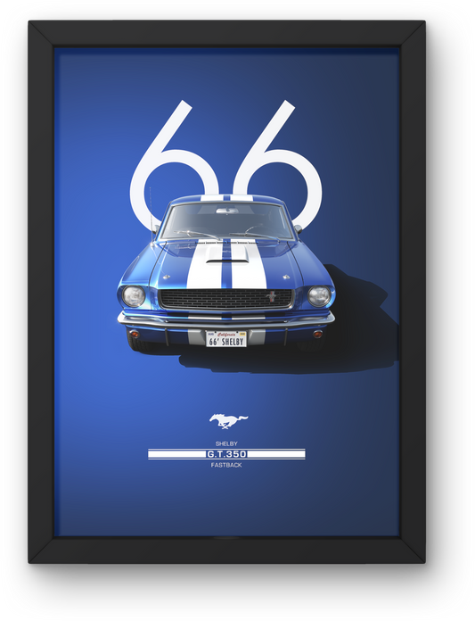 Ford Shelby GT-350