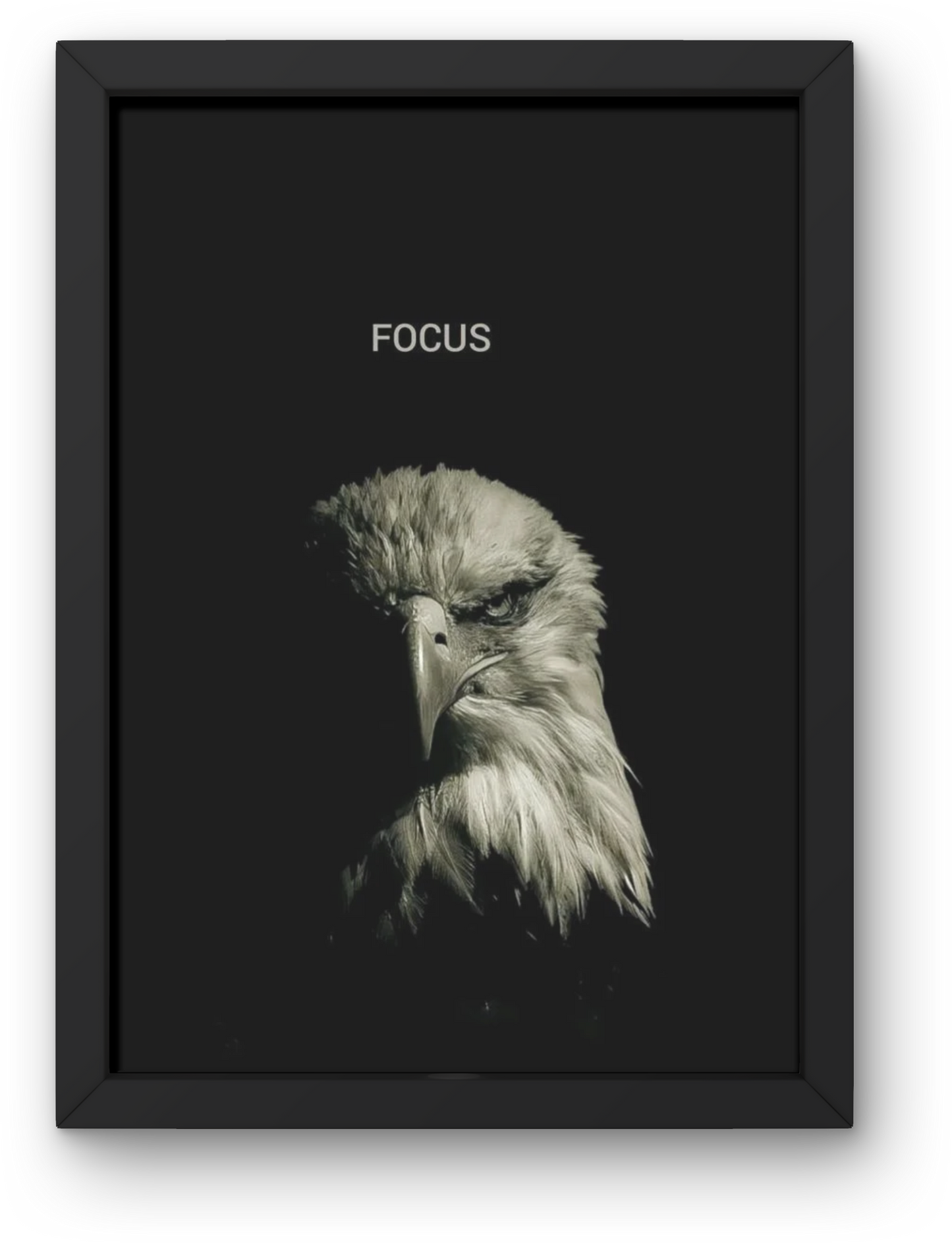 Focus
