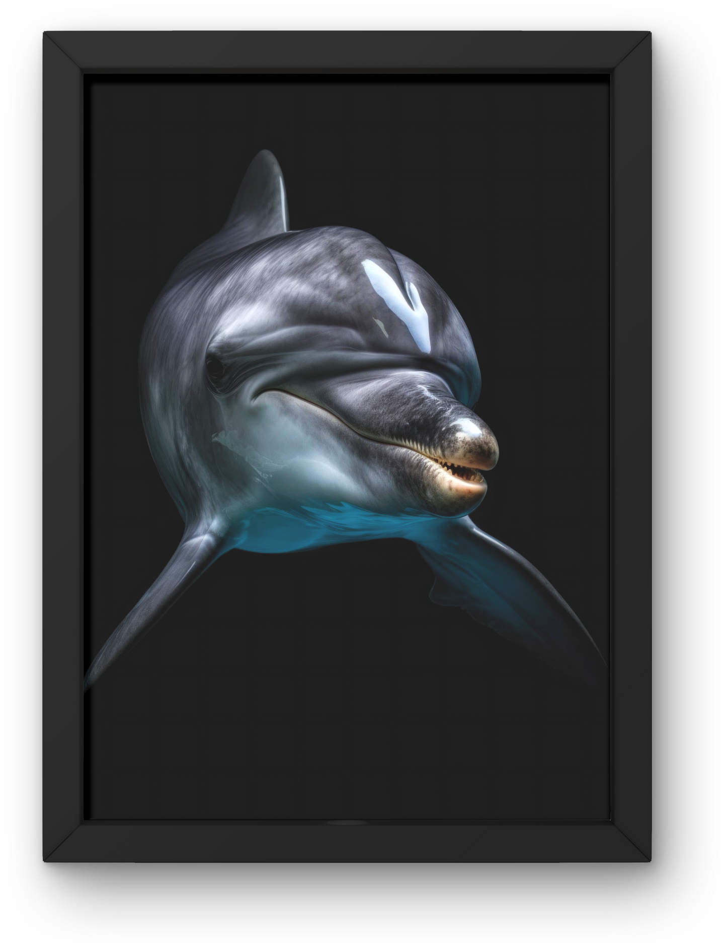 Dolphin