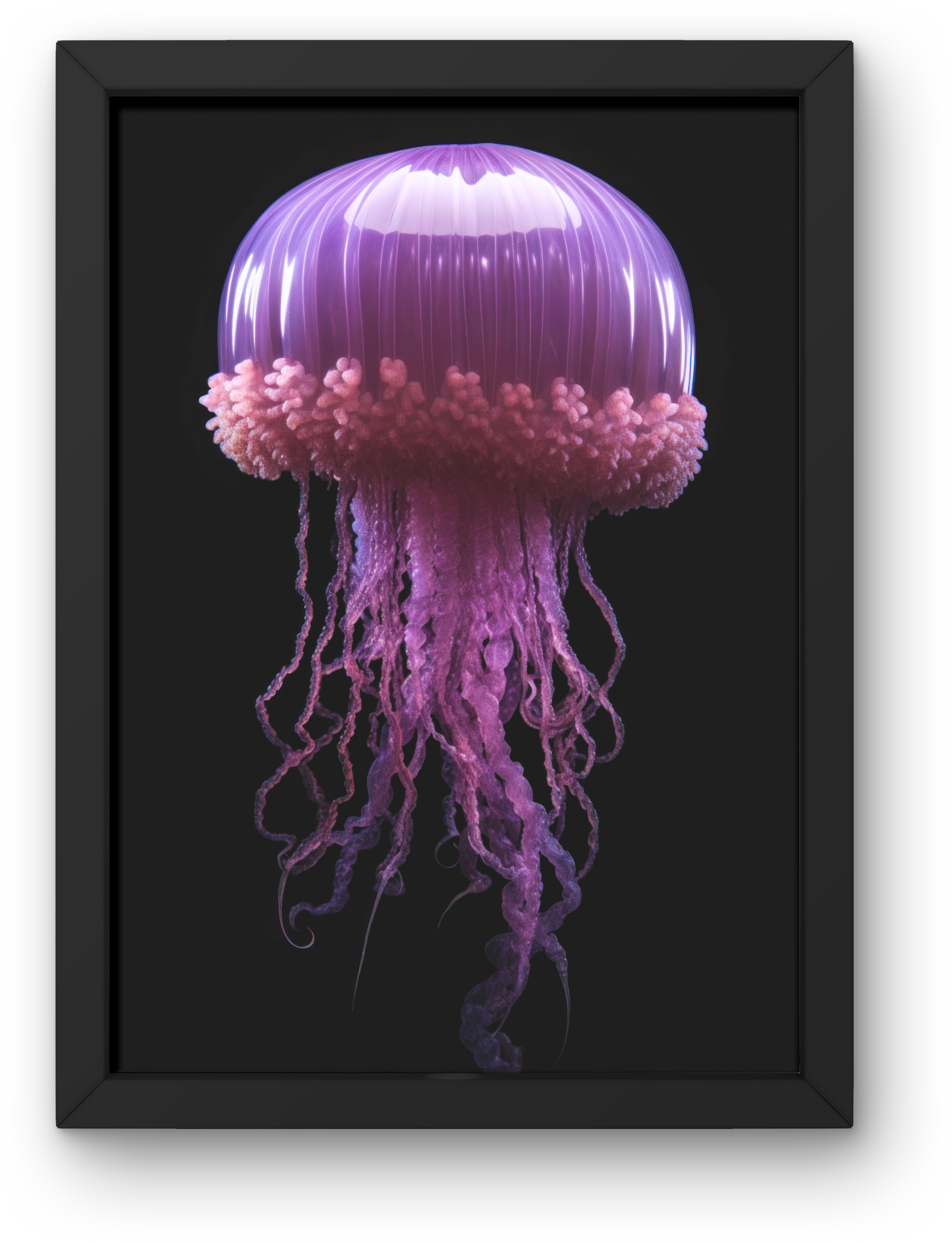Jelly Fish