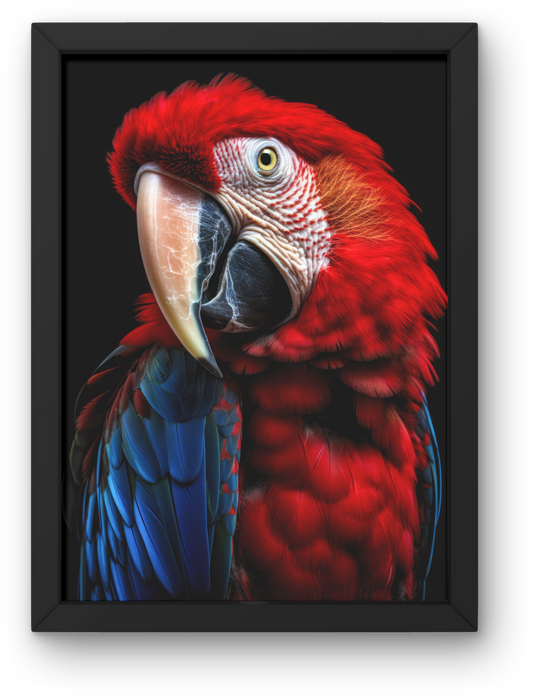 Parrot