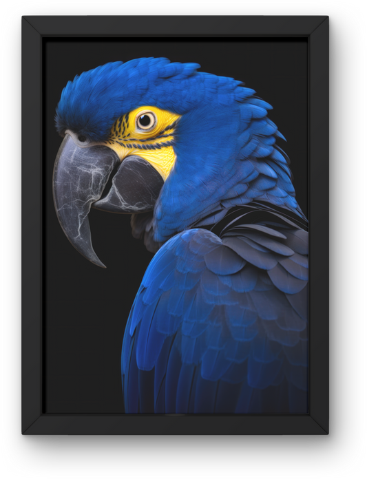 Parrot