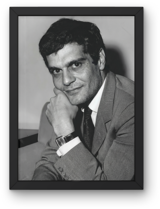 Omar AlSherief