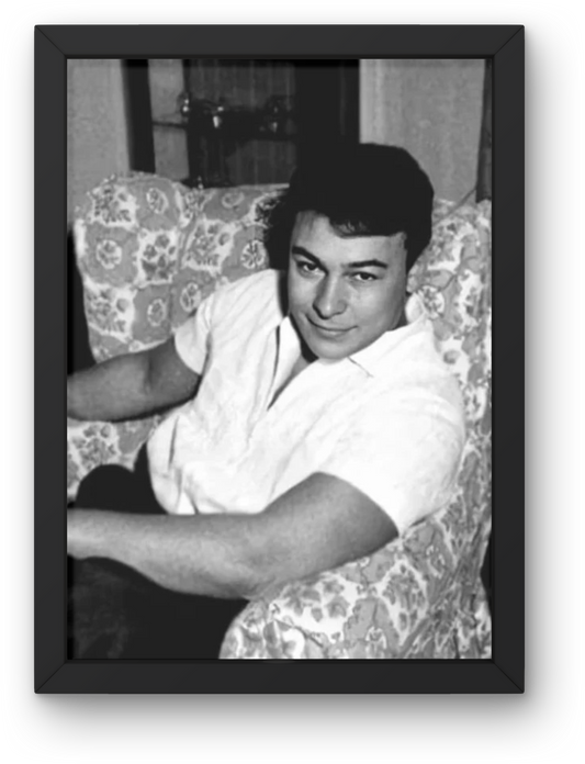 Ahmed Ramzy
