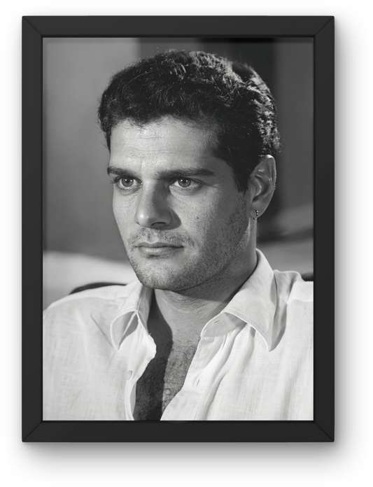 Omar AlSherief