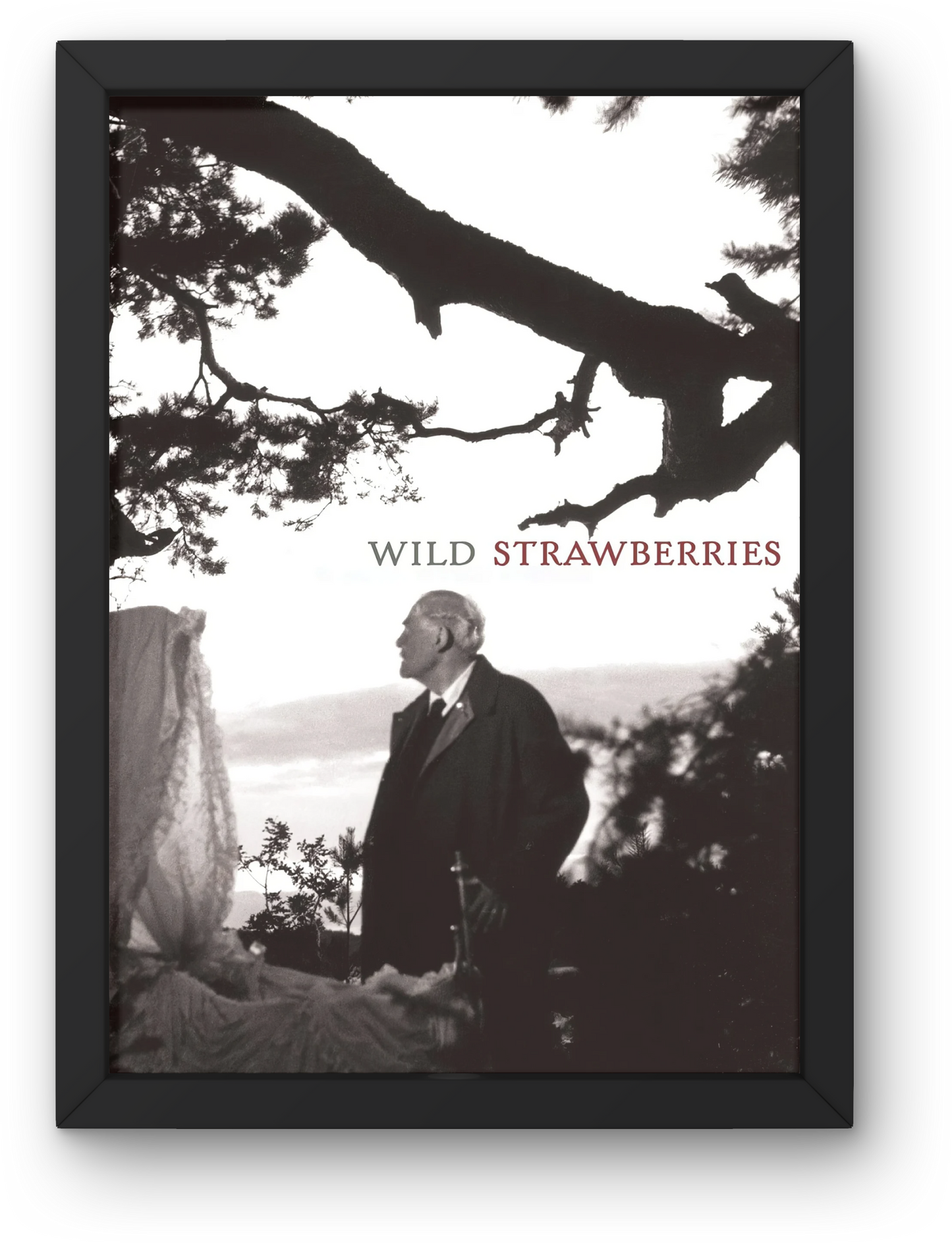Wild Strawberries