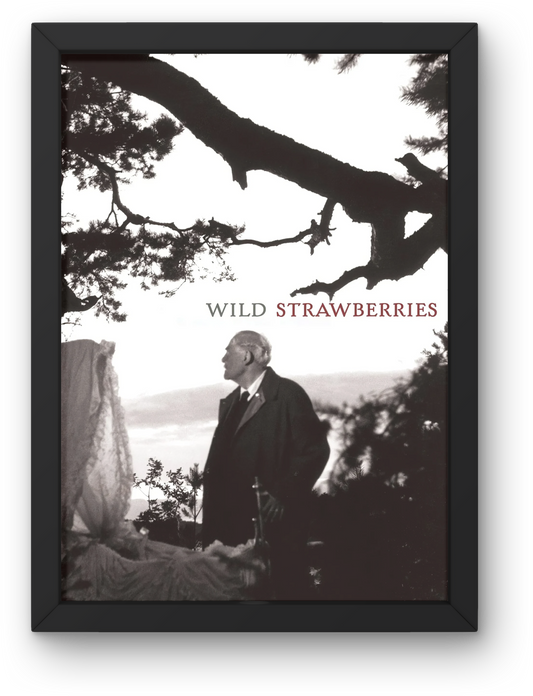 Wild Strawberries