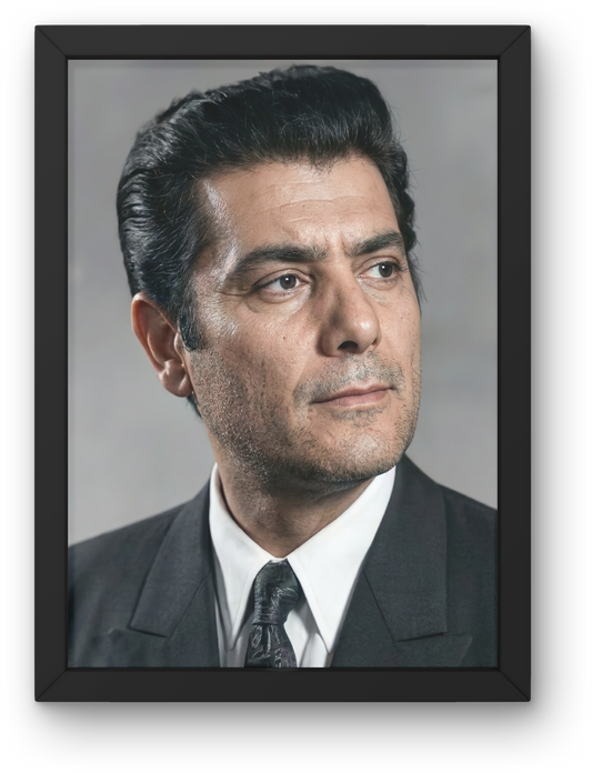 Shokry sarhan