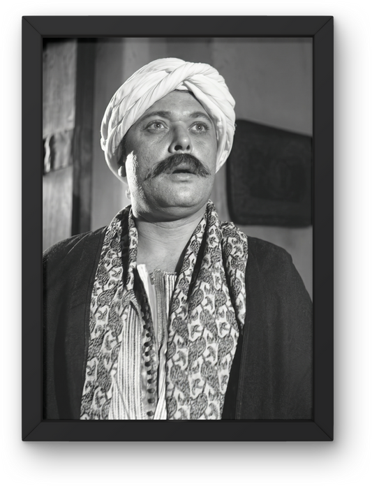 Mahmoud Abdelaziz
